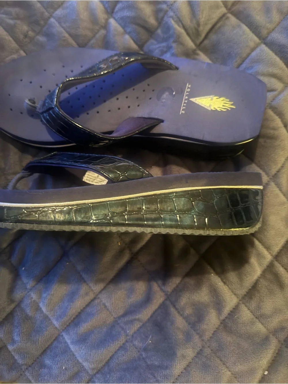 Volatile Navy Blue Flip Flops with Black Croc-Texture Thongs